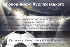 ААФУ третій рік поспіль підтримує проведення Кубку пам'яті Володимира Курліковського