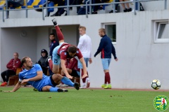 Чемпіонат України з футболу 2018/2019